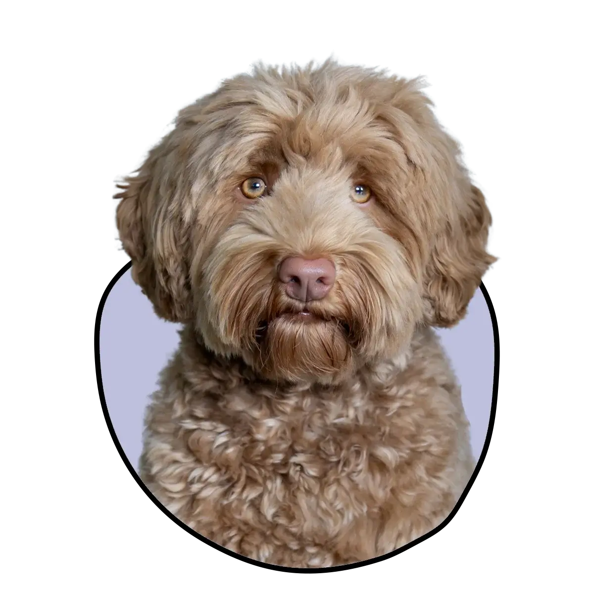 pancake-lila-james-11