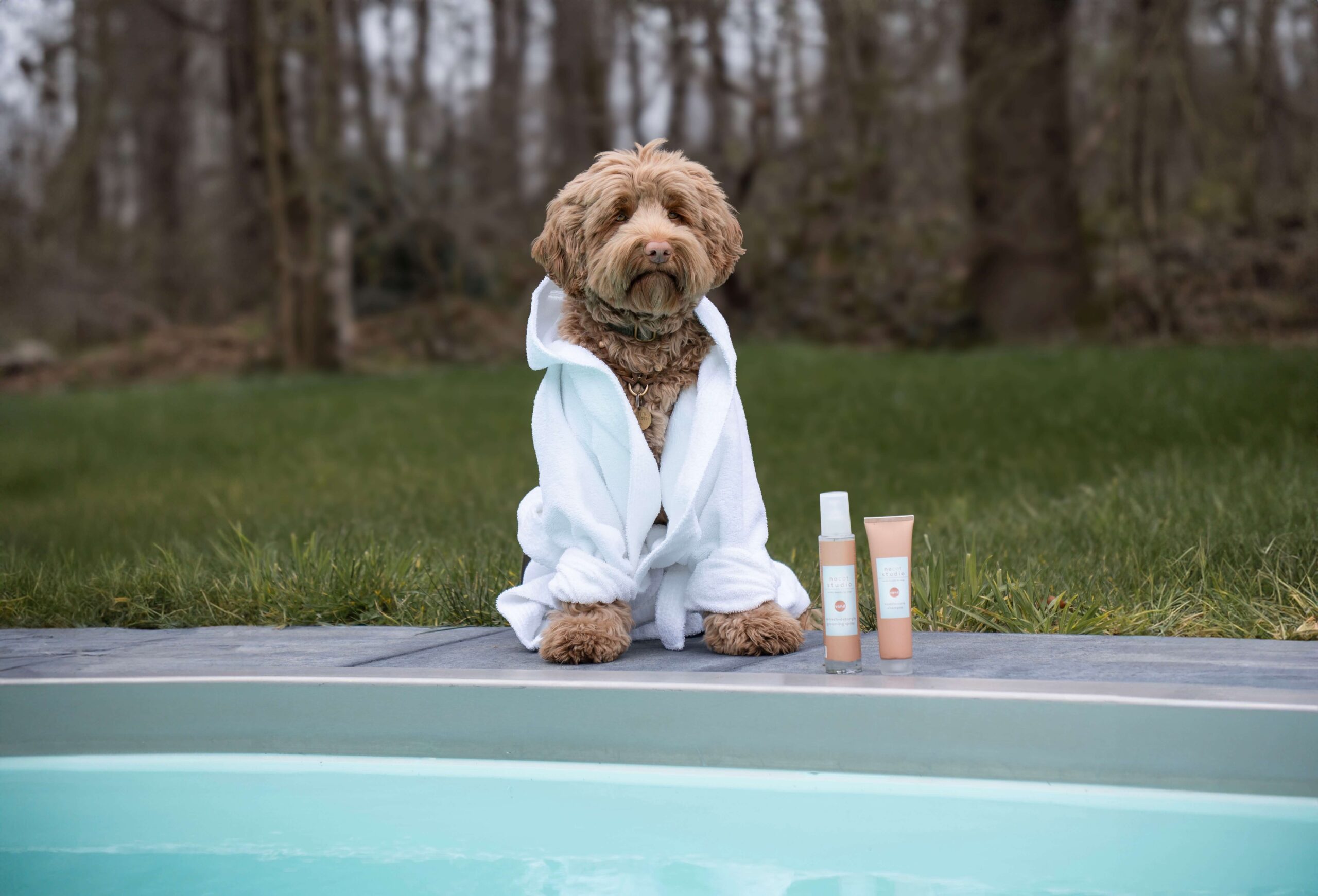 Spa day met Nocat Studio vachtverzorging voor honden