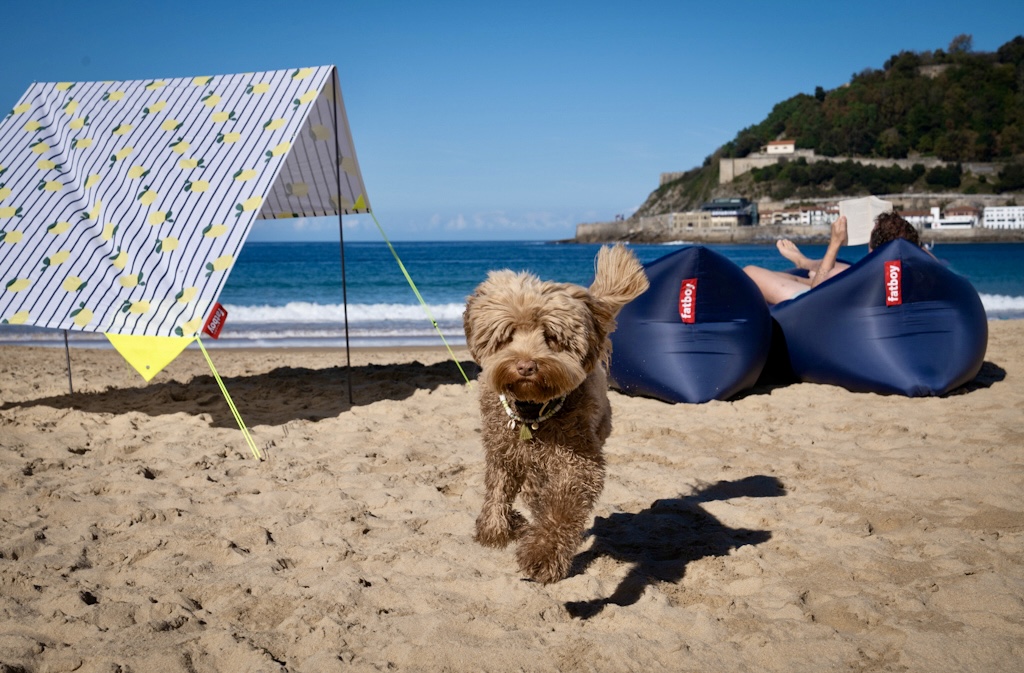 DSC08689 2 10 onmisbare zomertips voor een koele vakantie met je hond