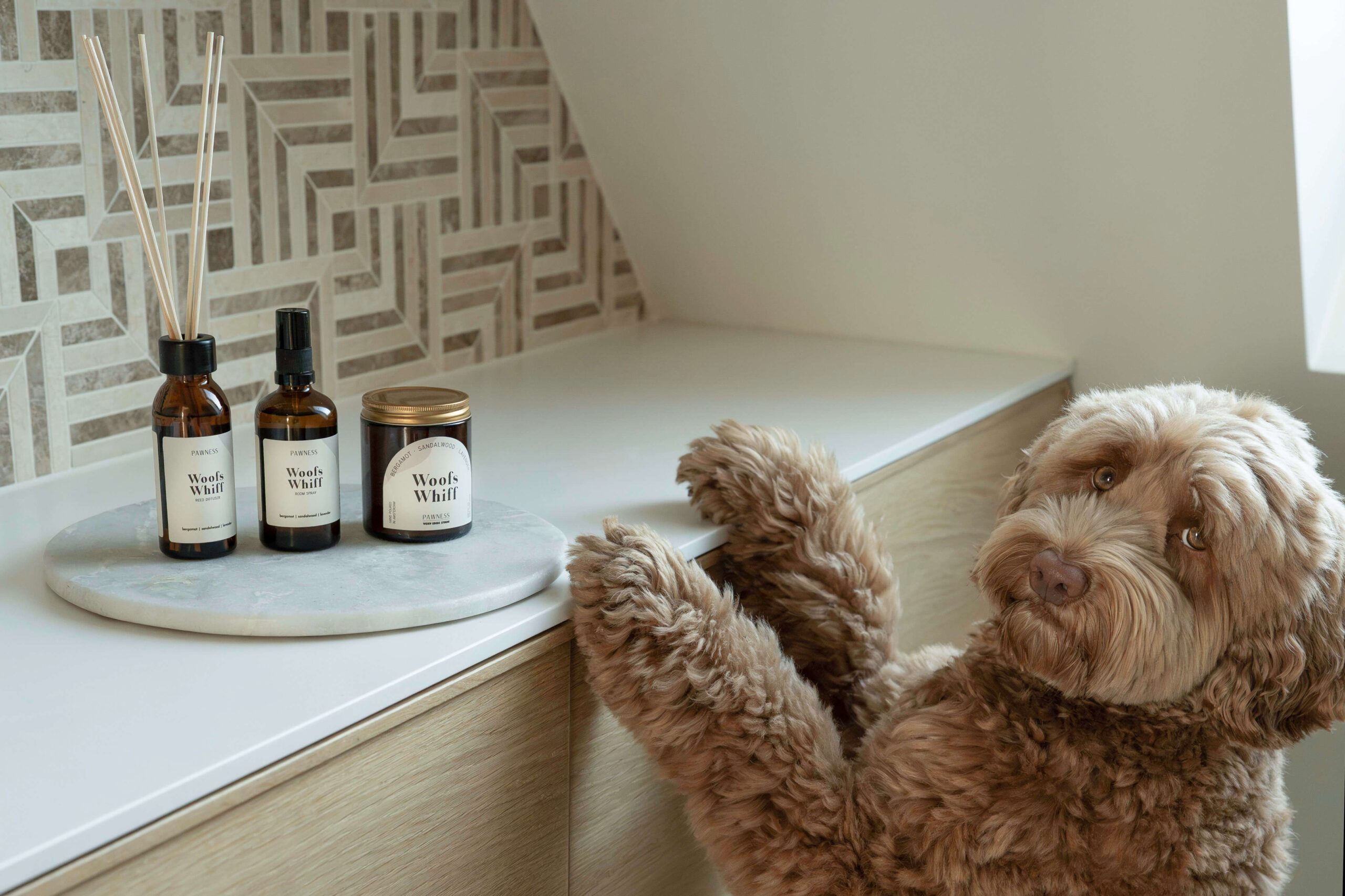 Let's get cozy met de woofs whiff collectie van Pawness