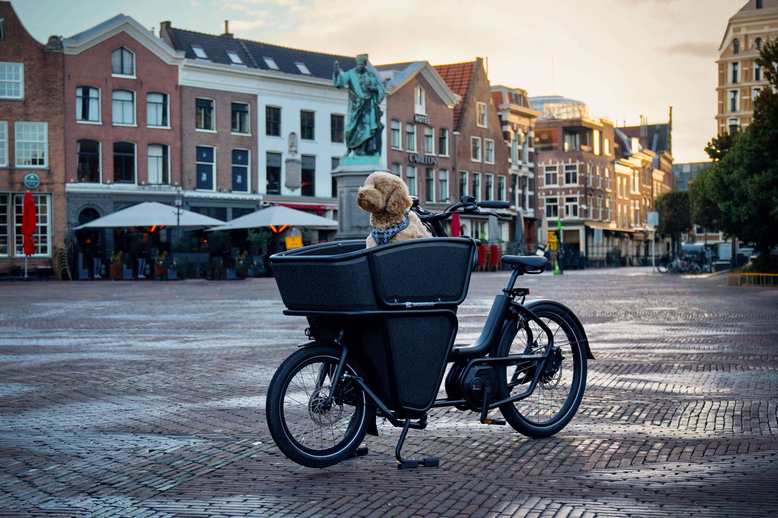 Met je hond fietsen Met je hond fietsen
