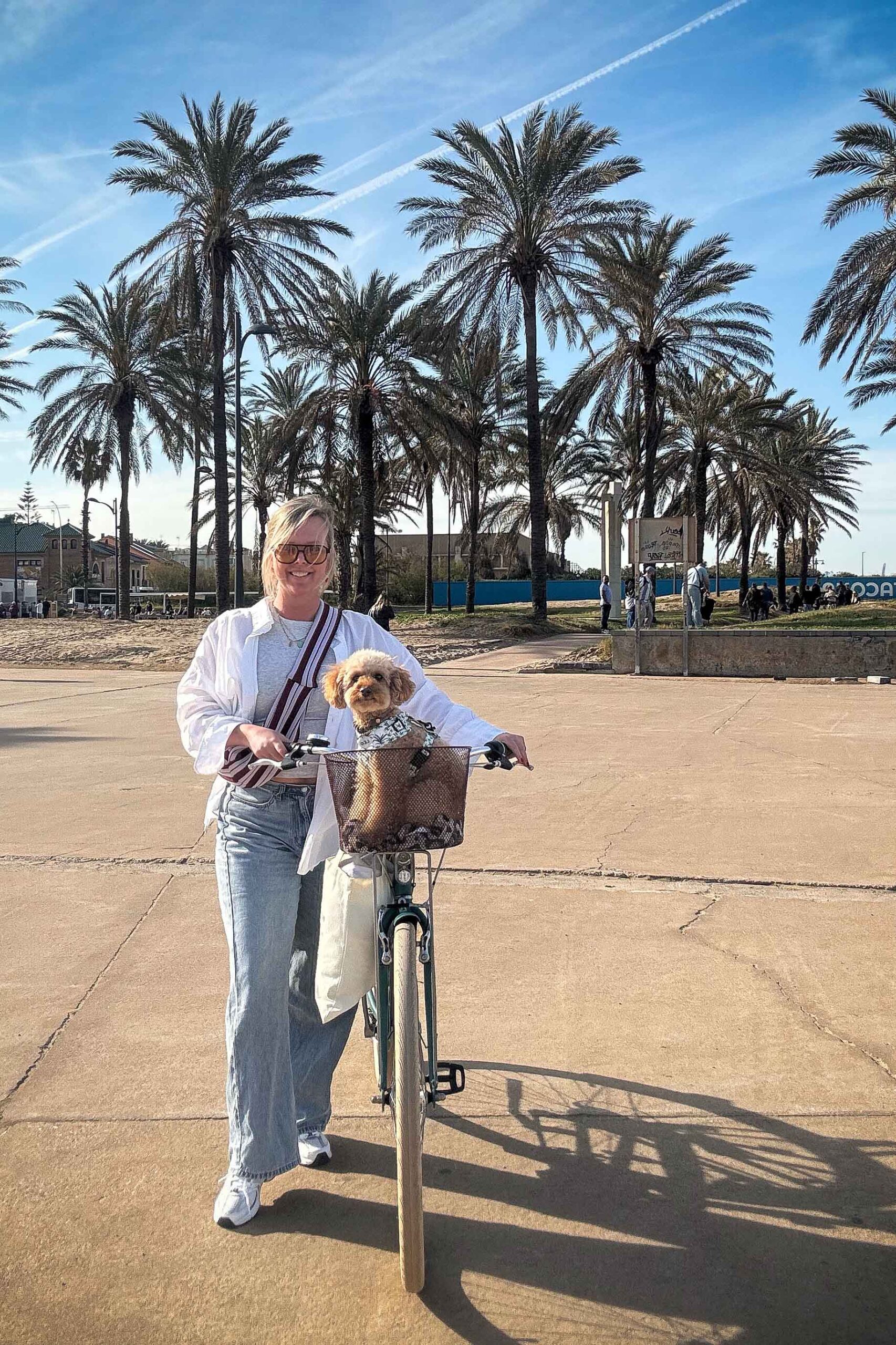 Lien op vakantie met toy poedel Leo