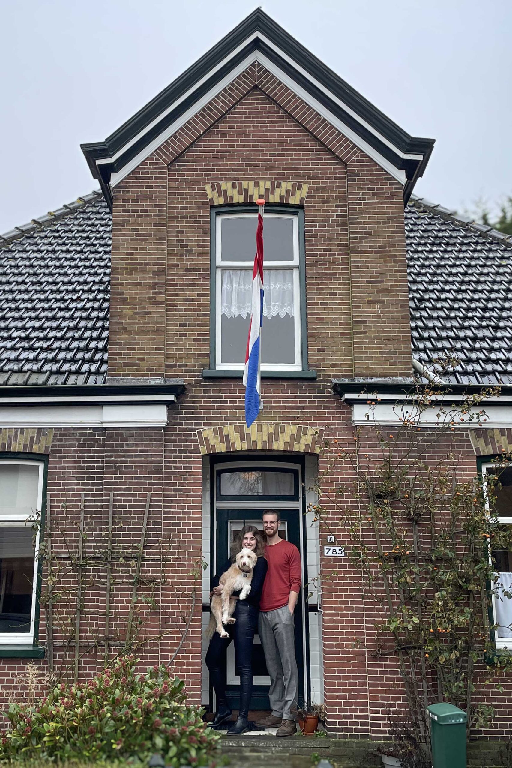 Verbouwen met je hond tips