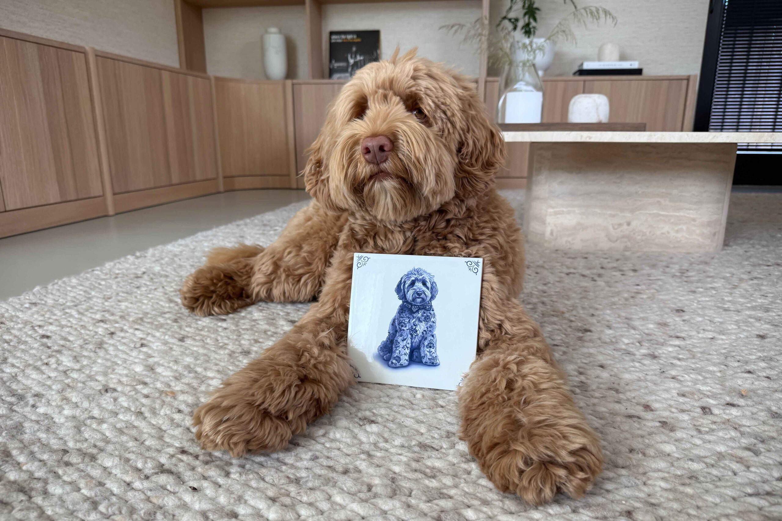 Dutch Tile Project Blog Mister James Hond