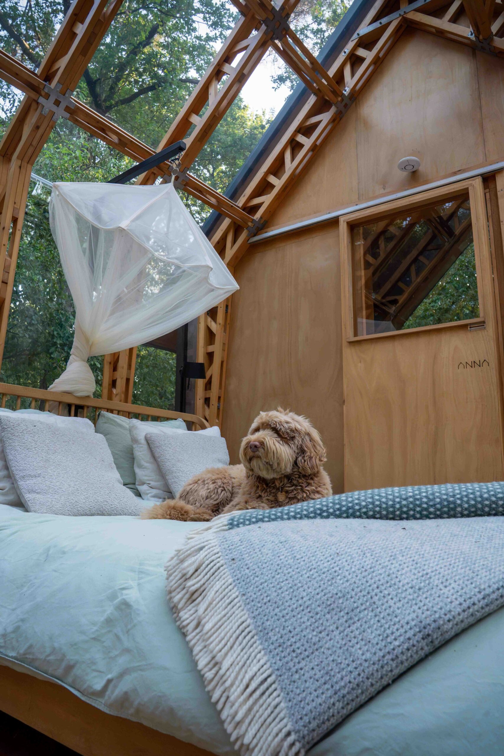 Cabin Anna, getaway met je hond Cabin Anna, getaway met je hond