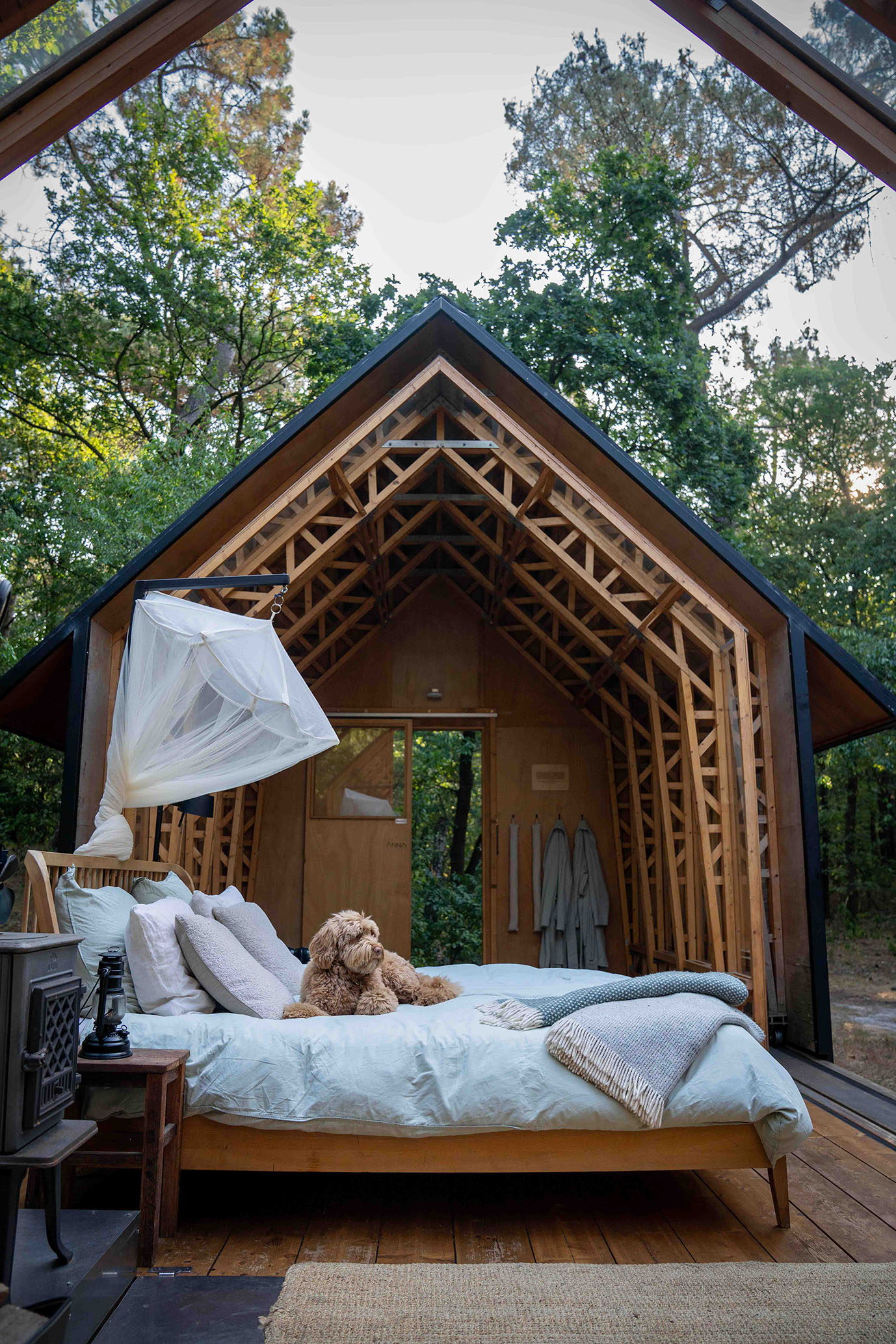 Cabin Anna Hond Cabin Anna Hond