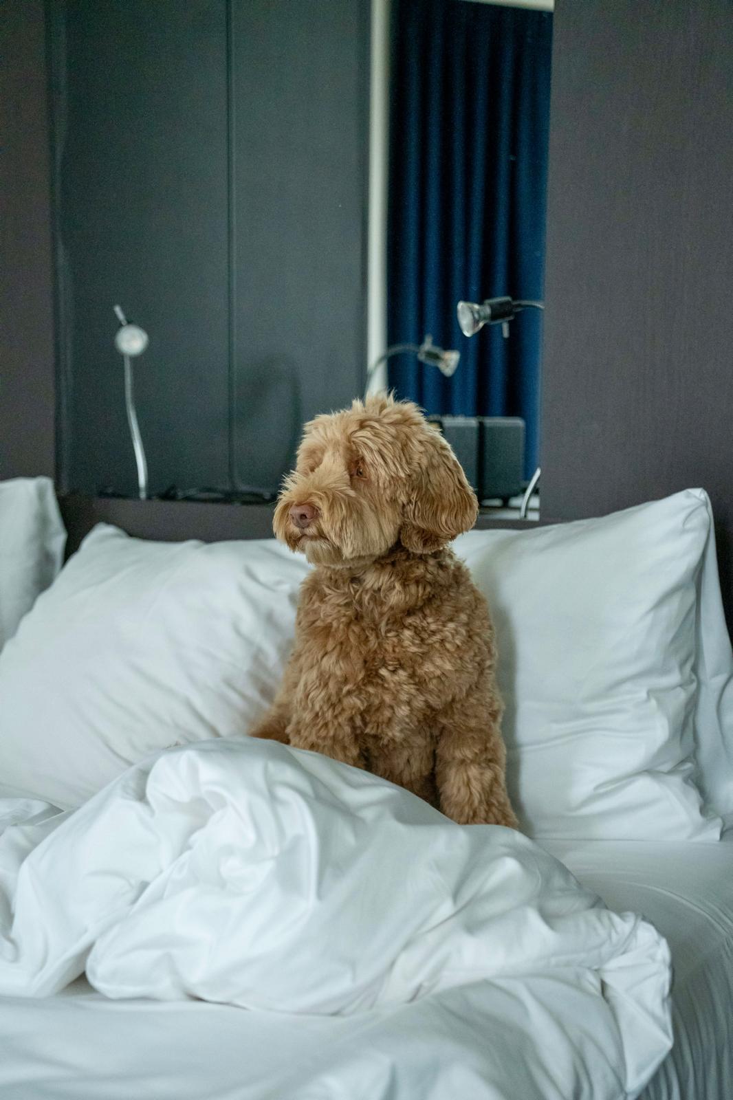 Chillen in het hotel | Amsterdam Chillen in het hotel | Amsterdam